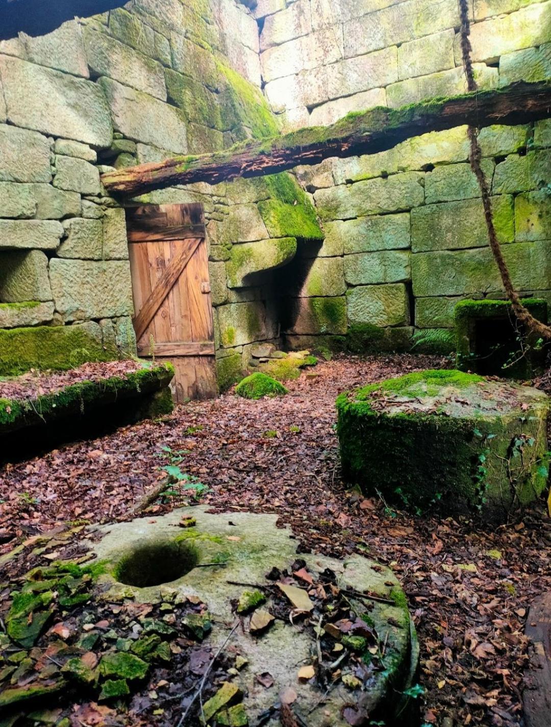 Pensjonat Casa Da Rapadoira Laxoso de Abaixo Zewnętrze zdjęcie